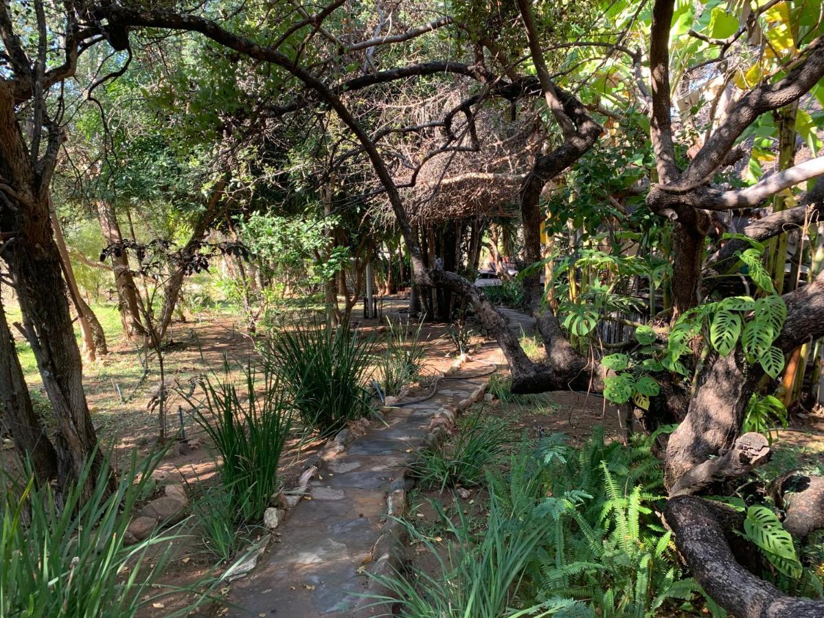Hippomoon Lodge Game Reserve Hoedspruit Zewnętrze zdjęcie