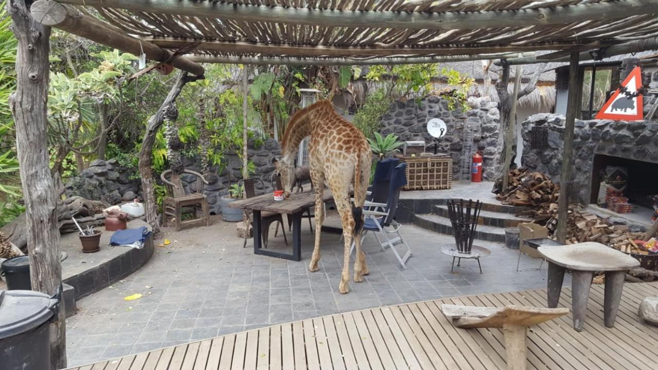 Hippomoon Lodge Game Reserve Hoedspruit Zewnętrze zdjęcie