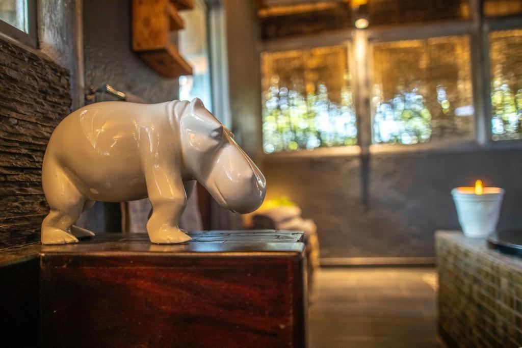 Hippomoon Lodge Game Reserve Hoedspruit Zewnętrze zdjęcie
