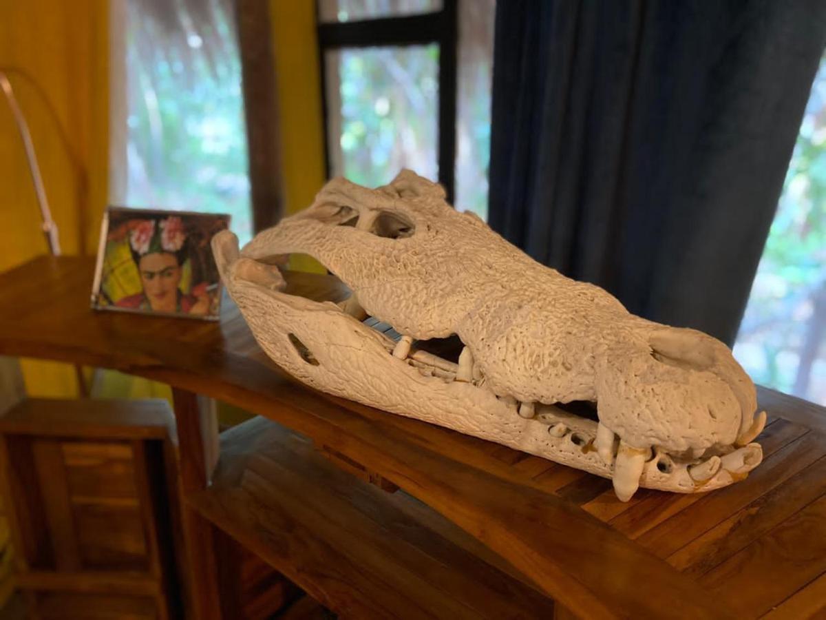 Hippomoon Lodge Game Reserve Hoedspruit Zewnętrze zdjęcie