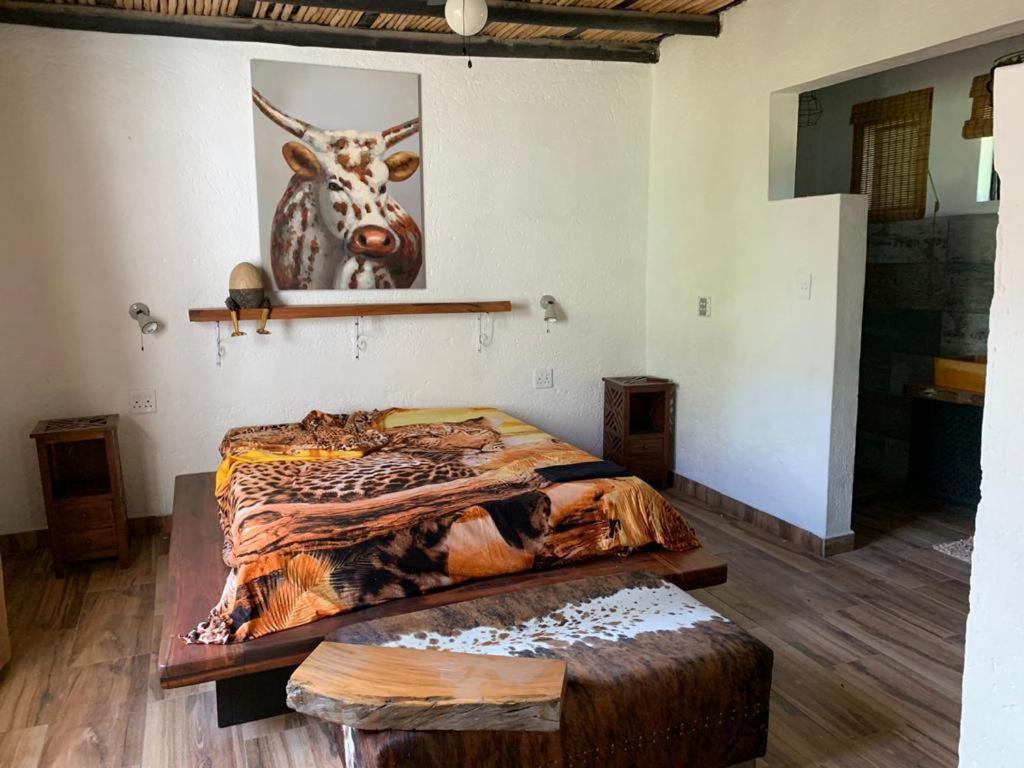 Hippomoon Lodge Game Reserve Hoedspruit Zewnętrze zdjęcie
